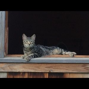 Meet your Posher, Susan